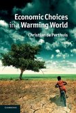 Economic Choices in a Warming World (eBook, PDF)