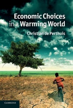 Economic Choices in a Warming World (eBook, PDF) - Perthuis, Christian De