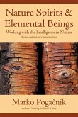 Nature Spirits & Elemental Beings (eBook, ePUB)