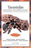 Tarantulas (eBook, ePUB)