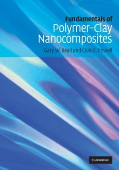 Fundamentals of Polymer-Clay Nanocomposites (eBook, PDF) - Beall, Gary W.