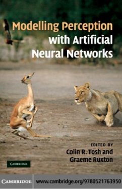 Modelling Perception with Artificial Neural Networks (eBook, PDF)