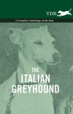 The Italian Greyhound - A Complete Anthology of the Dog (eBook, ePUB)