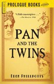 Pan and the Twins (eBook, ePUB)