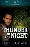 Thunder in the Night (eBook, ePUB)