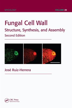 Cover Fungal Cell Wall (eBook, PDF)