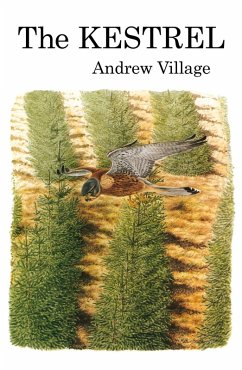 The Kestrel (eBook, ePUB) - Village, Andrew