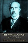 Water Ghost (eBook, ePUB)