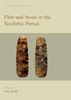 Flint and Stone in the Neolithic Period (eBook, PDF)