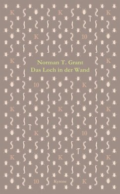 Cover Das Loch in der Wand (eBook, ePUB)