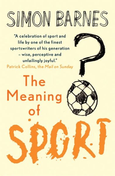 The Meaning of Sport (eBook, ePUB)