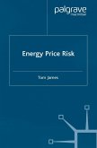Energy Price Risk (eBook, PDF)