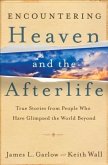 Encountering Heaven and the Afterlife (eBook, ePUB)