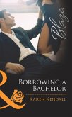 Borrowing a Bachelor (eBook, ePUB)