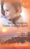 Maitland Maternity: Triplets, Quads & Quints (eBook, ePUB)