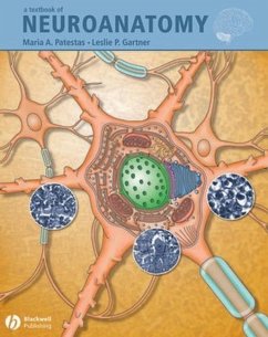 A Textbook of Neuroanatomy (eBook, PDF) - Patestas, Maria A.; Gartner, Leslie P.