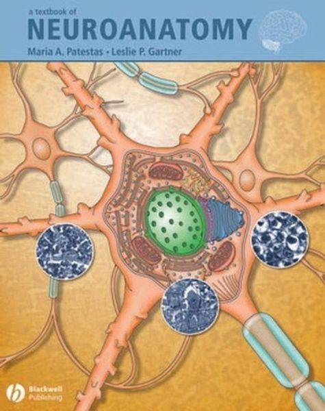 A Textbook of Neuroanatomy (eBook, PDF)