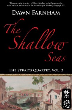 Cover Shallow Seas (eBook, ePUB)