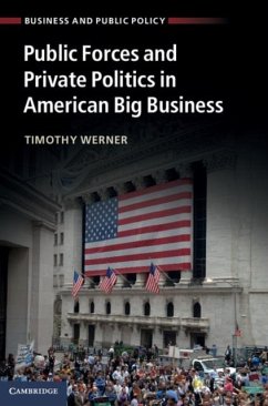 Public Forces and Private Politics in American Big Business (eBook, PDF) - Werner, Timothy