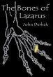 Bones of Lazarus (eBook, ePUB) - Bild 1