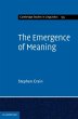 Emergence of Meaning (eBook, PDF) - Bild 1