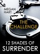 The Challenge (eBook, ePUB) - Bild 1