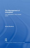 The Management of Intangibles (eBook, ePUB)