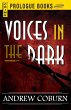 Voices in the Dark (eBook, ePUB) - Bild 1