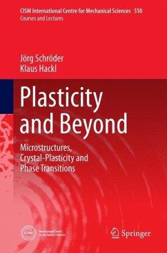 Plasticity and Beyond - Schroeder, Joerg;Hackl, Klaus