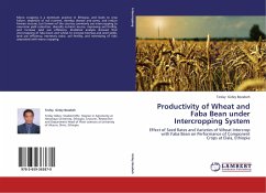 Productivity of Wheat and Faba Bean under Intercropping System - Gidey Bezabeh, Tesfay