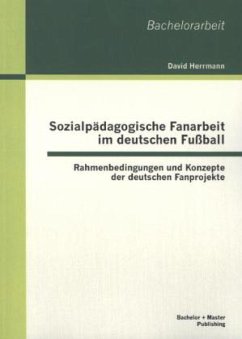 Sozialpädagogische Fanarbeit im deutschen Fußball: Rahmenbedingungen und Konzepte der deutschen Fanprojekte - Herrmann, David