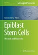 Epiblast Stem Cells - Bild 1
