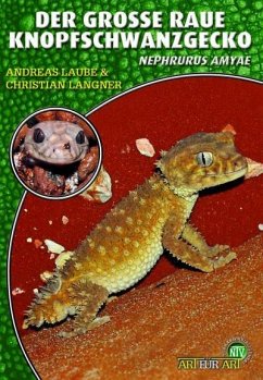 Der Große Raue Knopfschwanzgecko - Laube, Andreas;Langner, Christian