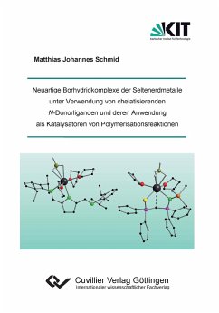 Neuartige Borhydridkomplexe der Seltenerdmetalle unter Verwendung von chelatisierenden N-Donorliganden und deren Anwendung als Katalysatoren von Polymerisationsreaktionen - Schmid, Matthias Johannes