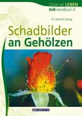 Schadbilder an Gehölzen