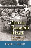 American Evangelicals in Egypt (eBook, ePUB)