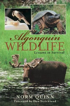 Algonquin Wildlife (eBook, ePUB) - Quinn, Norm