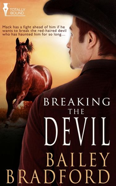 Breaking the Devil (eBook, ePUB)