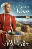 In Plain View (eBook, PDF) In Plain View (eBook, PDF)