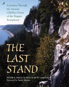 The Last Stand (eBook, ePUB) - Kelly, Peter E.; Larson, Doug