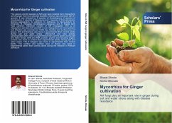 Mycorrhiza for Ginger cultivation - Shinde, Bharat;Bhosale, Kishor