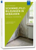 Schimmelpilzbildungen in Gebäuden