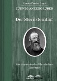 Der Sternsteinhof (eBook, ePUB)