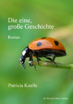 Die eine, große Geschichte - Koelle, Patricia