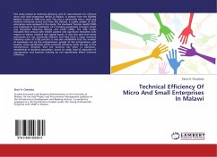 Technical Efficiency of Micro and Small Enterprises in Malawi
