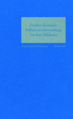 Selbstverschwendung (in drei Bildern) / Poetikvorlesungen Bd.2 - Zaimoglu, Feridun