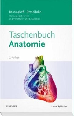 Taschenbuch Anatomie - Benninghoff, Alfred