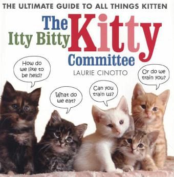 The Itty Bitty Kitty Committee