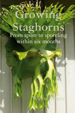 Growing Staghorns from Spore - Boyce, Wayne