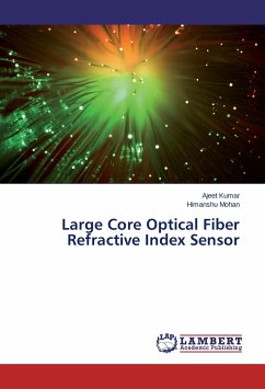 Large Core Optical Fiber Refractive Index Sensor